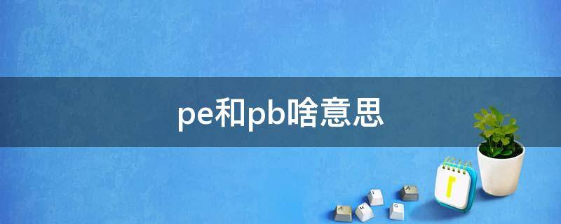 pe和pb啥意思 pe与pb啥区别