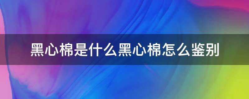 黑心棉是什么黑心棉怎么鉴别（黑心棉是什么样的?）