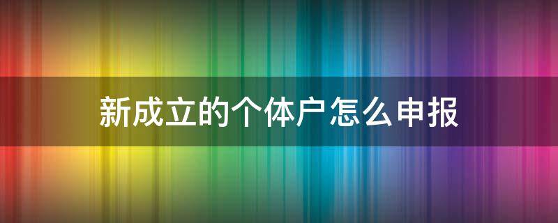 新成立的个体户怎么申报 个体经营户怎么申报