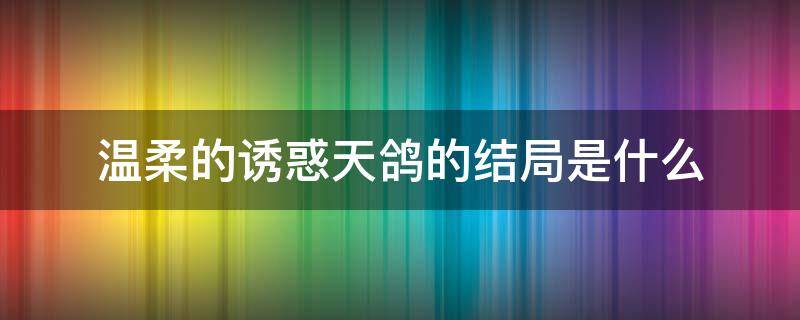 温柔的诱惑天鸽的结局是什么（温柔的诱惑小鸽子结局）