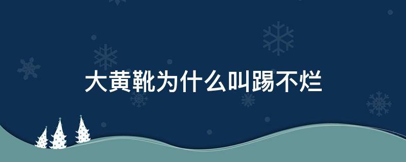 大黄靴为什么叫踢不烂 踢不烂大黄靴会越穿越大吗