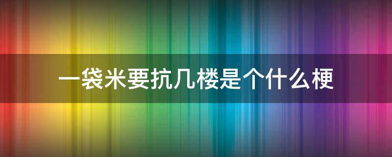 一袋米要抗几楼是个什么梗（一袋米要抗几楼是个什么梗日语）