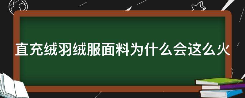 直充绒羽绒服面料为什么会这么火（羽绒服直充面料优点）