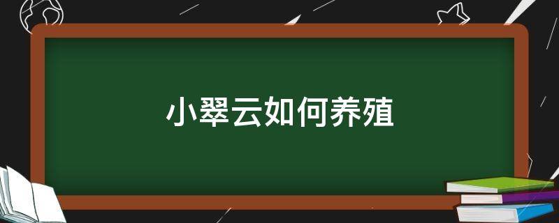 小翠云如何养殖 小翠鸟怎么养