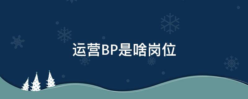 运营BP是啥岗位 bp是啥岗位要做什么?