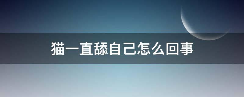 猫一直舔自己怎么回事 猫一直舔自己的毛是什么意思