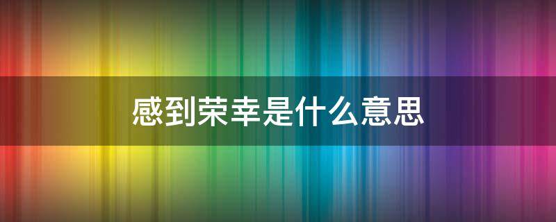 感到荣幸是什么意思 感到荣幸和什么