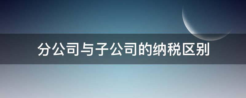 分公司与子公司的纳税区别 分公司和子公司报税的区别