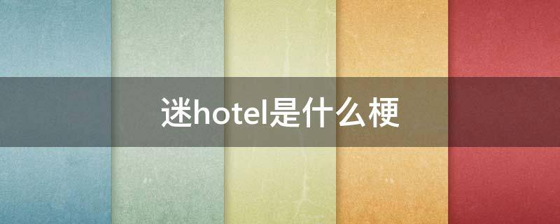 迷hotel是什么梗（除了迷hotel还有什么）