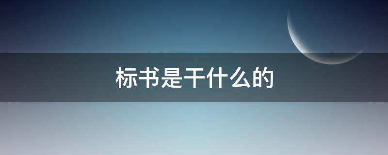 标书是干什么的（标书是干什么用的）