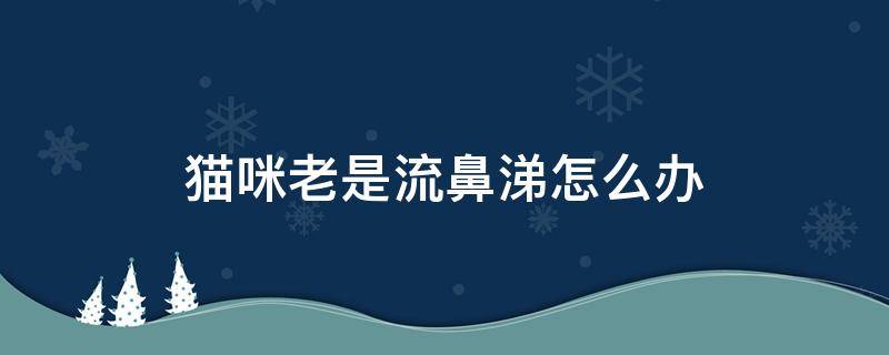 猫咪老是流鼻涕怎么办 猫咪长期流鼻涕怎么办