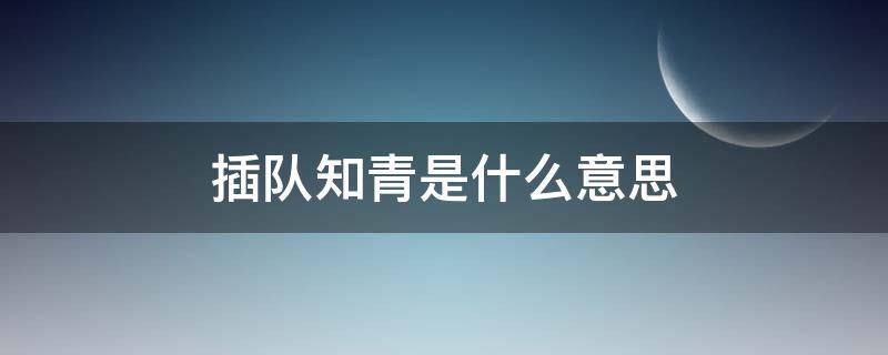 插队知青是什么意思 什么叫插队知青