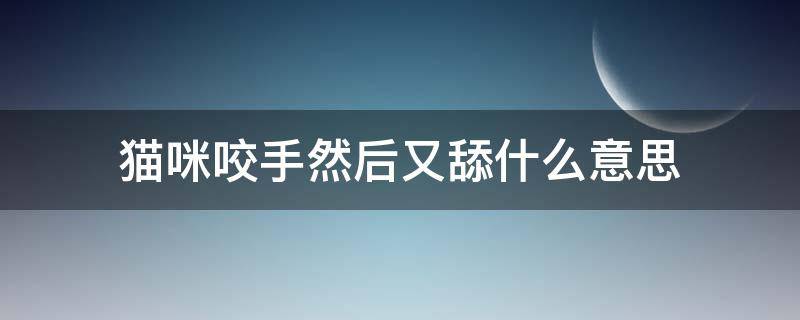 猫咪咬手然后又舔什么意思（猫又舔又咬主人手什么意思）