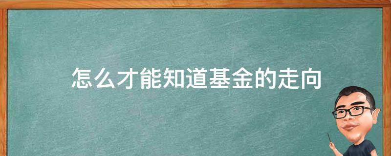 怎么才能知道基金的走向 基金怎么看走向