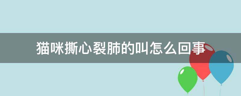 猫咪撕心裂肺的叫怎么回事 猫猫撕心裂肺的叫