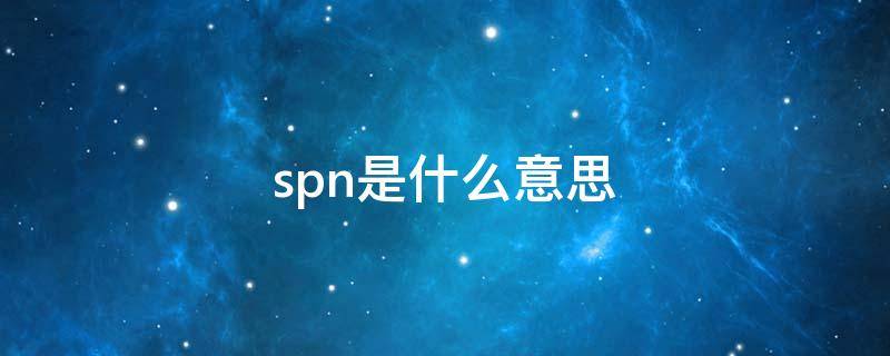 spn是什么意思（车辆spn是什么意思）