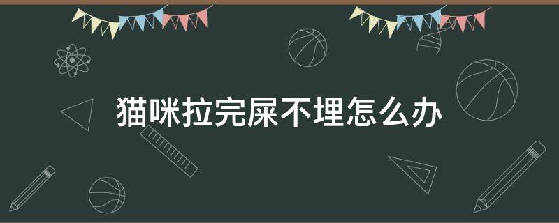 猫咪拉完屎不埋怎么办 猫咪拉完屎不埋了怎么办