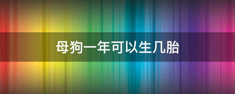 母狗一年可以生几胎（一只狗一年能生几胎）