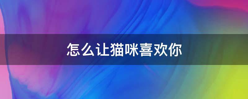 怎么让猫咪喜欢你 怎么样能让猫咪喜欢你