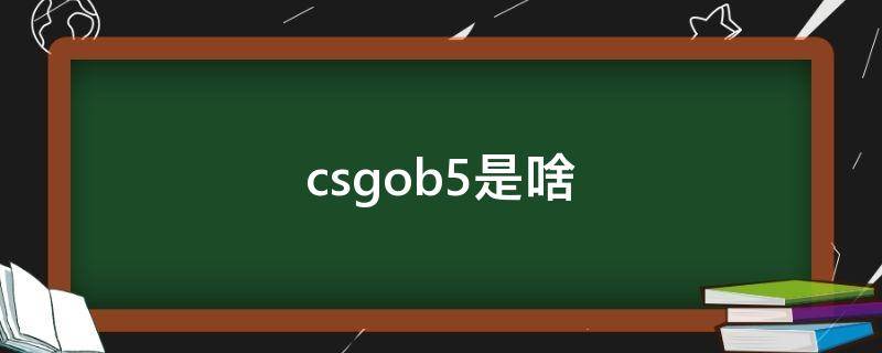 csgob5是啥（csgoB5是啥）
