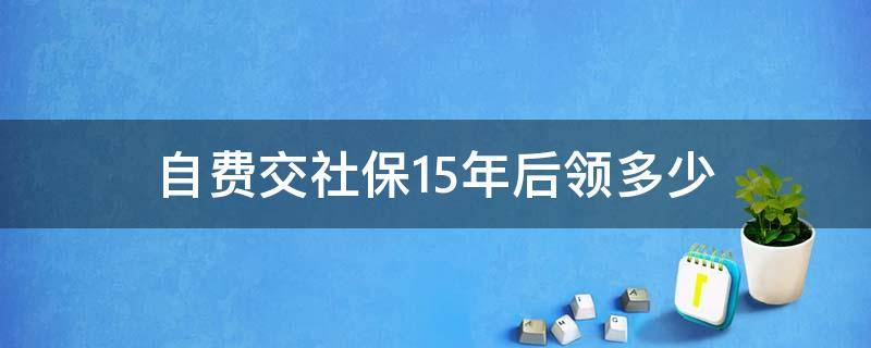 自费交社保15年后领多少（自费交社保15年能领多少钱）