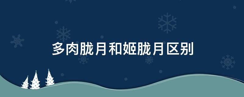 多肉胧月和姬胧月区别 多肉胧月和姬胧月有啥区别