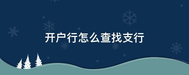 开户行怎么查找支行 怎么去查开户行的具体支行