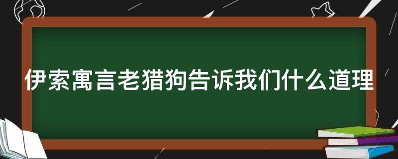 伊索寓言老猎狗告诉我们什么道理（老猎狗寓言故事的道理）