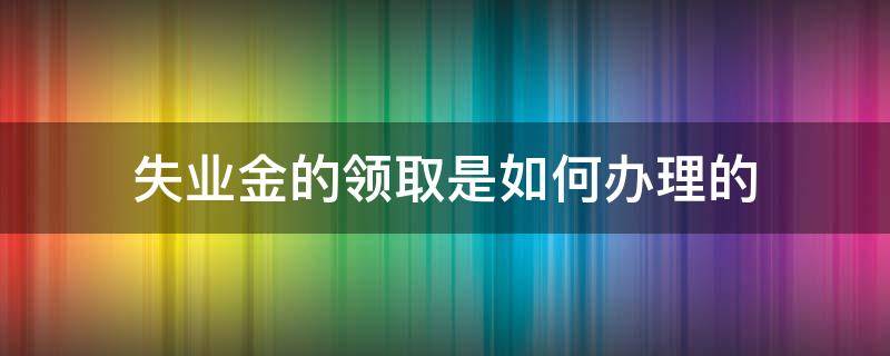 失业金的领取是如何办理的（失业金怎样办理领取）