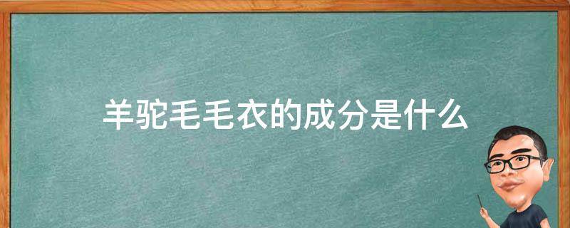 羊驼毛毛衣的成分是什么 什么是羊驼绒毛衣