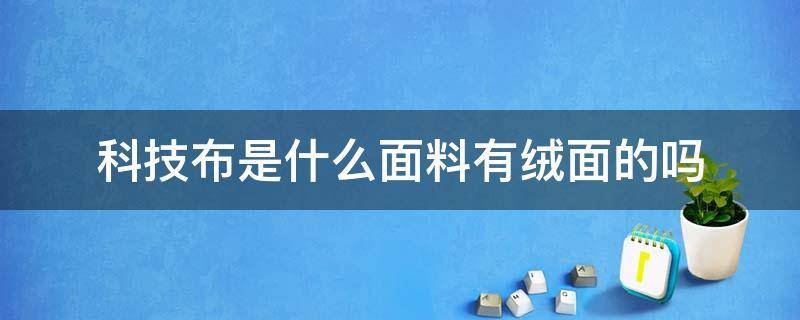 科技布是什么面料有绒面的吗 绒布是科技布吗