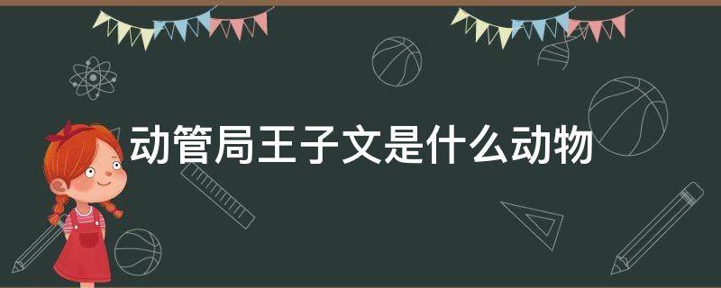 动管局王子文是什么动物 动物管理局里王子文本体是什么动物