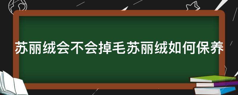 苏丽绒会不会掉毛苏丽绒如何保养 苏丽羊绒简介