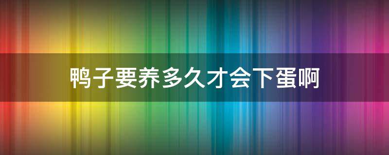 鸭子要养多久才会下蛋啊