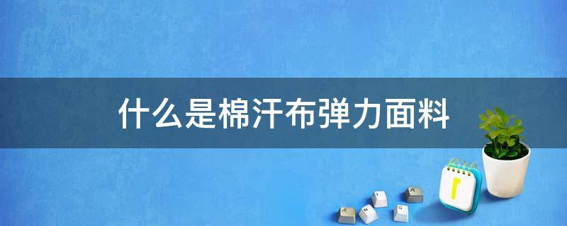 什么是棉汗布弹力面料 纯棉汗布是什么面料