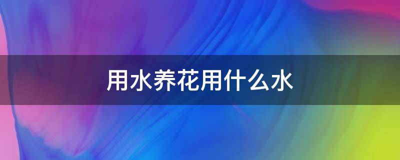 用水养花用什么水（养花的水用什么水）