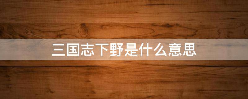 三国志下野是什么意思（三国志战略版下野是什么意思被下野后战功还有吗）