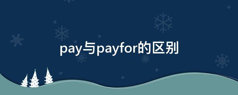 pay与payfor的区别（payfor和payto有什么区别?）