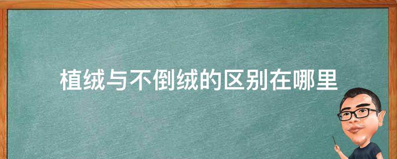 植绒与不倒绒的区别在哪里 什么是倒绒和不倒绒