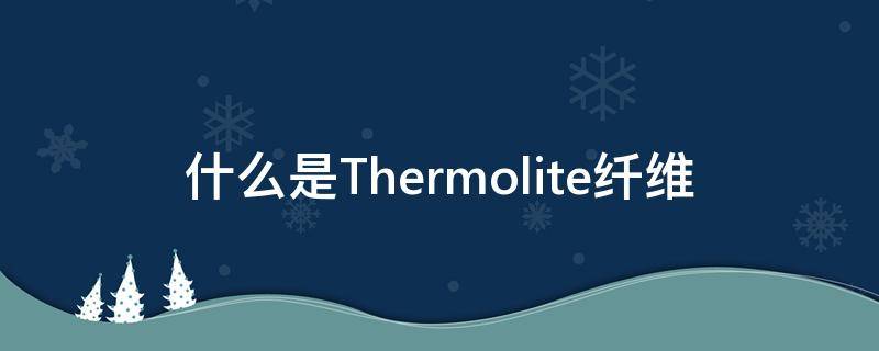 什么是Thermolite纤维（thermolite是涤纶吗）