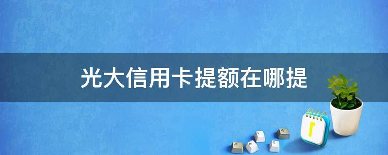 光大信用卡提额在哪提 光大银行信用卡 提额