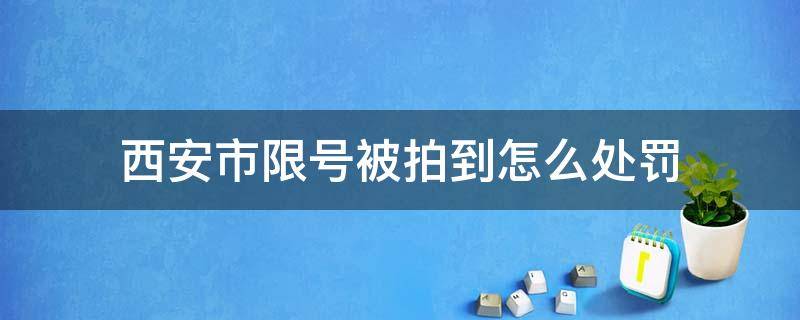 西安市限号被拍到怎么处罚（西安限号被拍了怎么处罚）