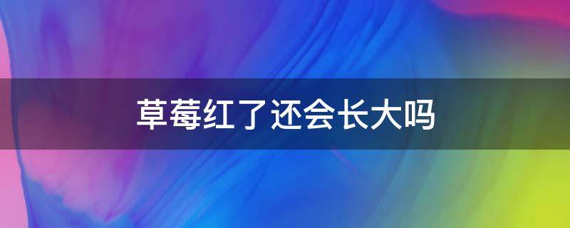 草莓红了还会长大吗（草莓开始变红是不是就不会长大了）