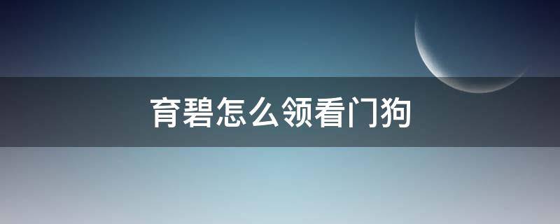 育碧怎么领看门狗（育碧领了看门狗不在游戏库）