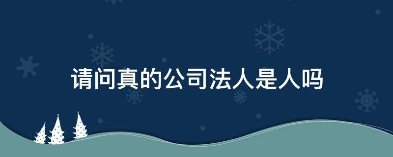 请问真的公司法人是人吗 公司是法人的吗?