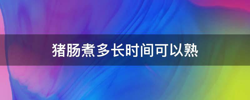 猪肠煮多长时间可以熟 猪肠煮多久能熟