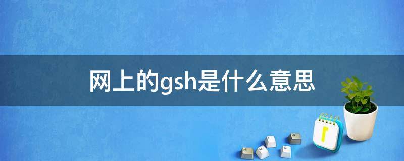 网上的gsh是什么意思（GSH表示）