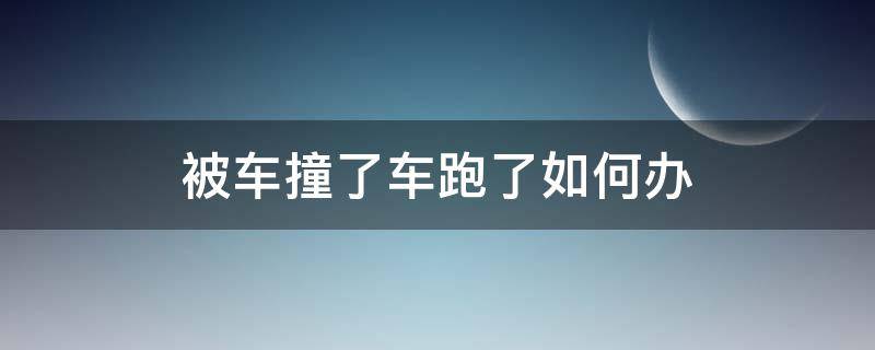 被车撞了车跑了如何办 车被撞了车跑了怎么办