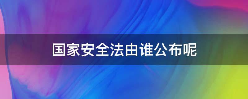 国家安全法由谁公布呢 国家安全法由什么公布由谁公布