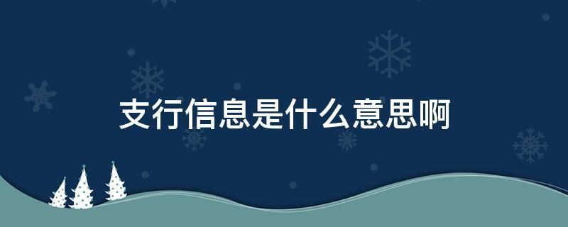 支行信息是什么意思啊（银行信息什么意思）